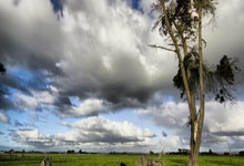 Doinb迎来五赛季高光表现，瑞士队球迷沸腾！的简单介绍